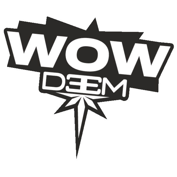 DEEM Flywear Sticker