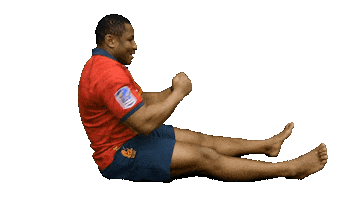 Leones Xv Del Leon Sticker by FERugby