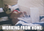 Your Guide to Thriving While Working From Home