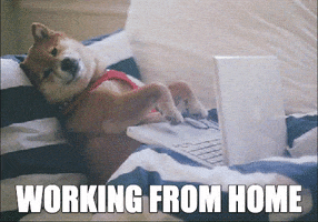 Work At Home GIF by MOODMAN