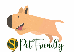 Sítio São Jorge GIF