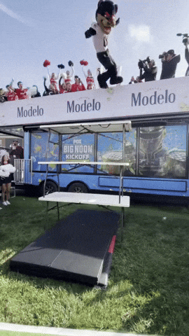 University Of Cincinnati Mascot GIF by Bearcat