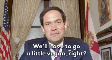 Marco Rubio GIF by GIPHY News