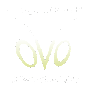 Paraguay Sticker by cirquedusoleilpy