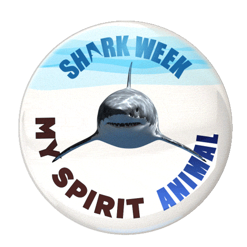 Shark Week Sticker by Discovery Channel Turkiye