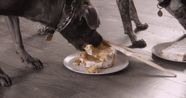 Sub Pop Cooking GIF by Sub Pop Records
