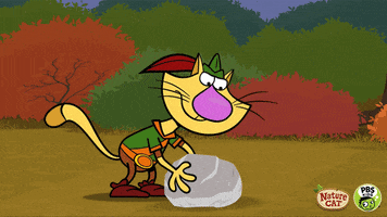struggling nature cat GIF by PBS KIDS