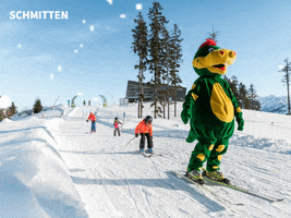 Schmitten in Zell am See GIF
