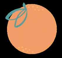 morning_clementine orange fruit minimalist citrus GIF