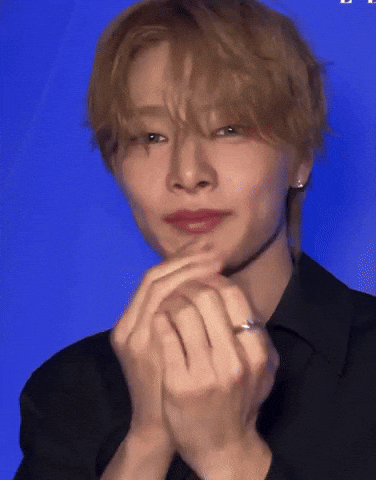 Skz No GIF