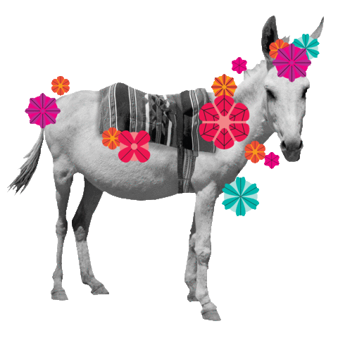 Tequila Mezcal Sticker by Ghost Donkey