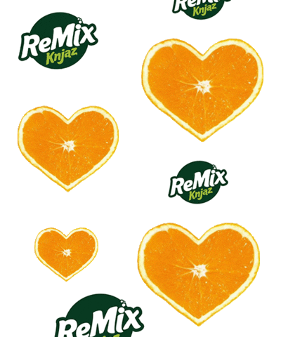 ReMix Knjaz Sticker