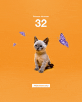 200.gif?cid=fc005b08fd647521cdc5a7c75e4e5dfb0dfdb543d42b7a60&rid=200.gif&ct=g