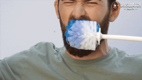 giphy.gif