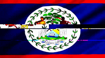 Belize Flag GIF by Fi Kruffy