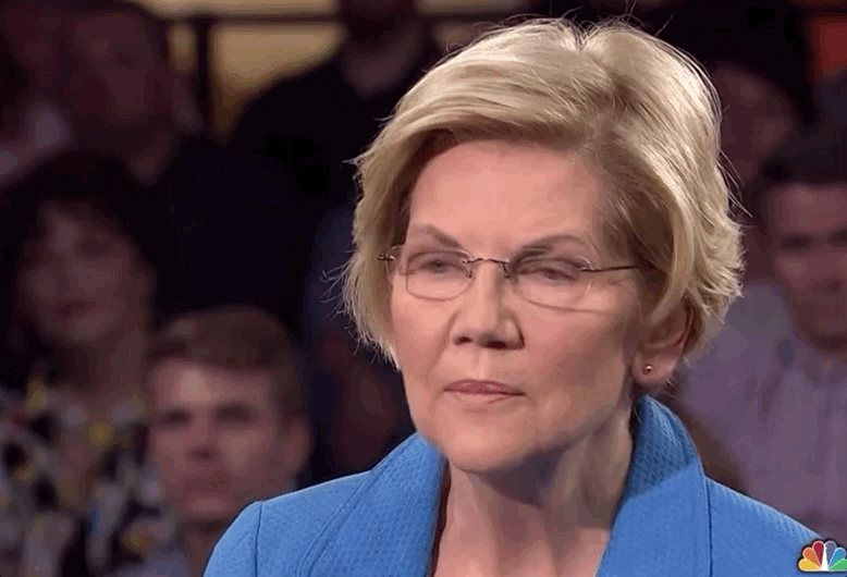 Elizabeth Warren Msnbc GIF Find & Share on GIPHY