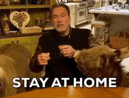 Arnold Schwarzenegger Stay At Home GIF by GIPHY News