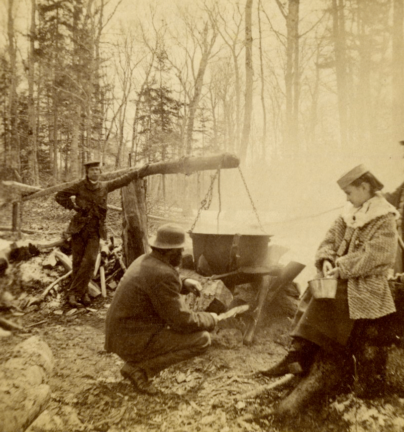 Maple Syrup Vintage GIF Find & Share on GIPHY