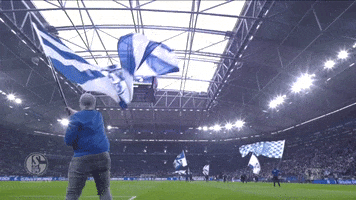Football Soccer GIF by FC Schalke 04