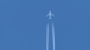 Planespotting GIF