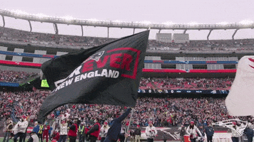 Team Spirit Football GIF by New England Patriots
