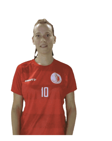 UHC Visper Lions Sticker