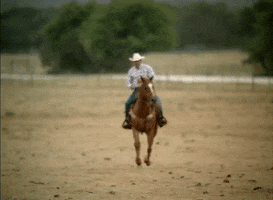 Country Music Horse GIF by George Strait