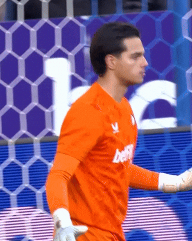 Supporters Blauw-Zwart GIF by Club Brugge