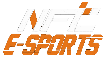 NFT ESPORT Sticker