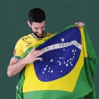 Brazil Flag Gifs Get The Best Gif On Giphy