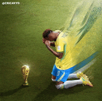 Fifa World Cup GIF