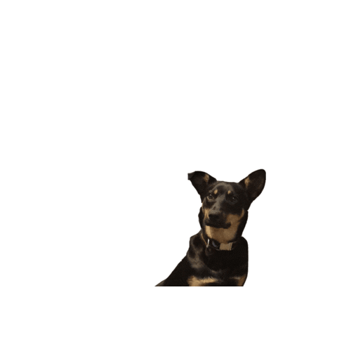 Marketing Unlocked Sticker