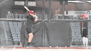 GIF by Fayetteville Woodpeckers