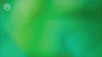 GIF by Kino Pavasaris