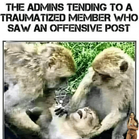 The Admins GIF