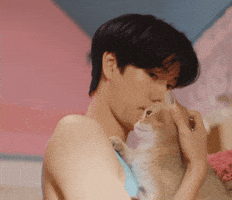 Cat Kiss GIF