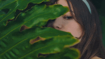 Perfume Bernie GIF