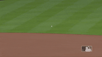 200.gif?cid=fc005b0849290256b6a86115ca52cfc6005bcf8da29b3d31&rid=200.gif&ct=g