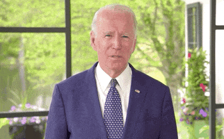 Joe Biden None At All GIF by Election 2020