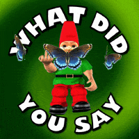 Up Yours Did Someone Say GIF