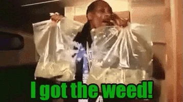 high snoop dogg GIF