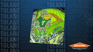 Tulane Green Wave Pitching Change GIF by GreenWave