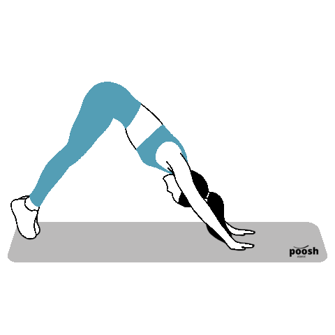 Poosh Apparel Sticker