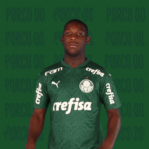 Its Over Patrick GIF by SE Palmeiras