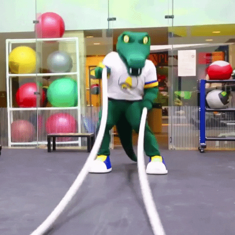 Exercise Ropes GIF by Allegheny College