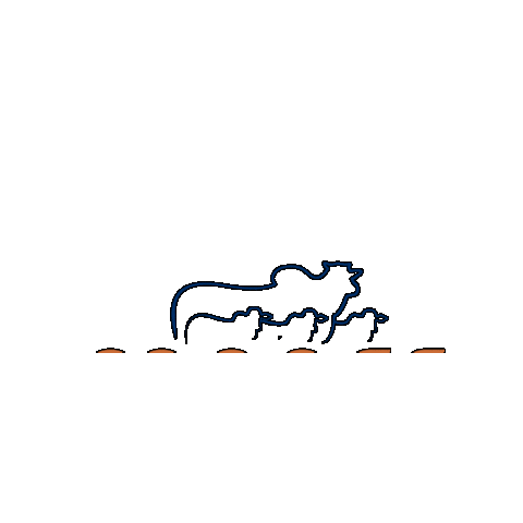 Abs Transferencia Sticker by Mader Embriões In Vitro