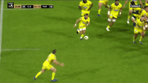 giphy.gif