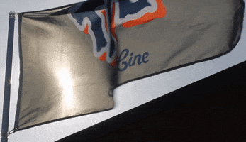 Lets Go Mets GIF by The 7 Line