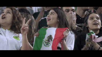 fans bandera GIF by MiSelecciónMX