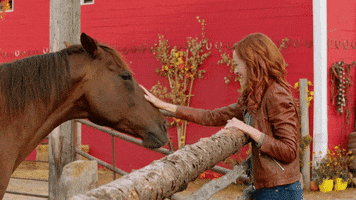 lindy booth fall GIF by Hallmark Channel